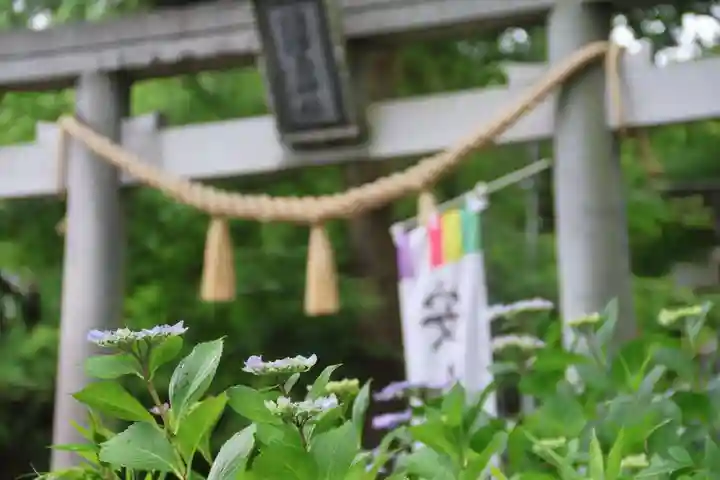 隠津島神社の景色