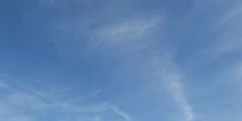 城南宮(京都府)