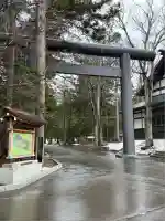 北海道神宮の鳥居