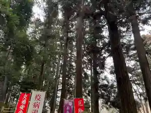 大宮温泉神社(栃木県)(2023年01月24日(火) 10時27分09秒投稿)
