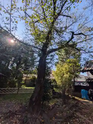 龍興山臨江寺(東京都)