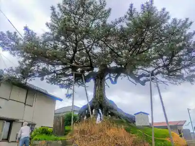 無量寿寺の周辺