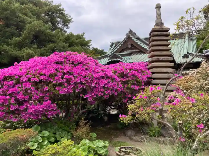 安養院 (田代寺)(神奈川県)