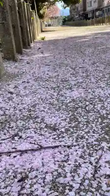 住吉神社の自然