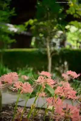 横浜　西方寺(神奈川県)