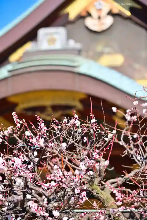 湯島天満宮(東京都)