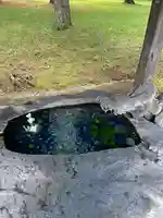 十勝護国神社の手水舎