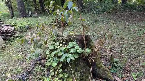 占冠神社の自然