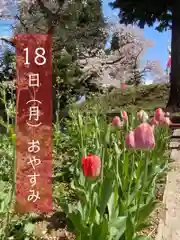 高司神社〜むすびの神の鎮まる社〜の自然