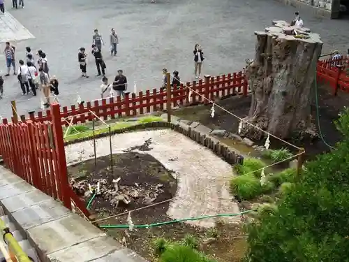 鶴岡八幡宮の自然