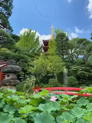 高幡不動尊　金剛寺(東京都)