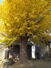 八重垣神社の自然