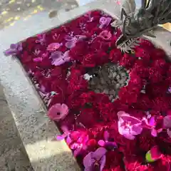 札幌諏訪神社の手水