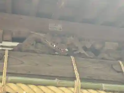 鹿島神社（笠間町）(神奈川県)