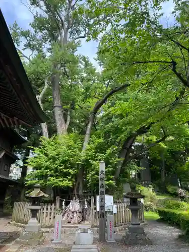 小室浅間神社の自然
