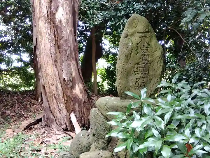 鵜森神社(福井県)