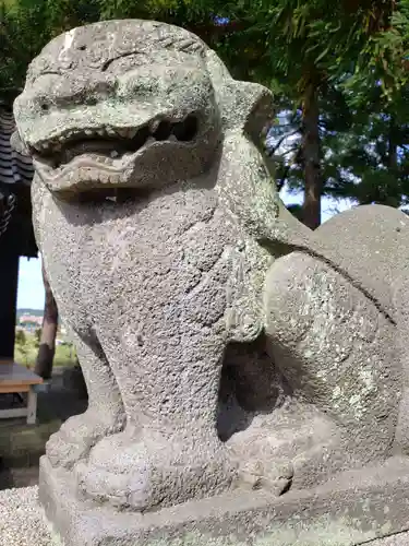 藤巻神社の狛犬