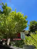 清水観音堂(東京都)