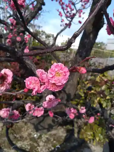 鉄道神社の自然