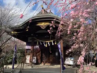 牛天神北野神社(東京都)