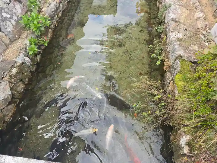 天台宗 五大山 白毫寺(兵庫県)