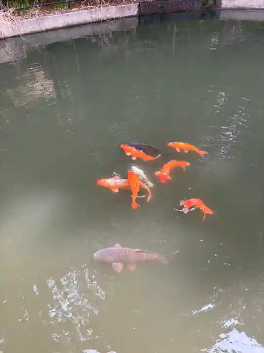 巌島神社(茨城県)