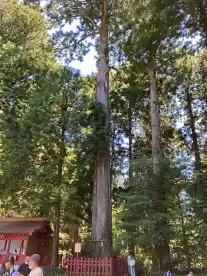 箱根神社(神奈川県)