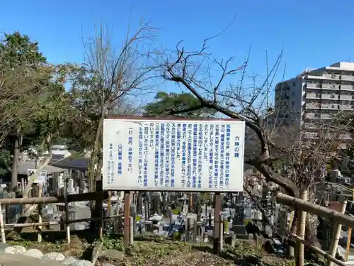 金乗院放光寺(埼玉県)