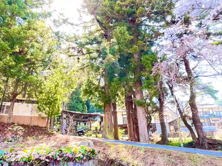 山家神社の自然