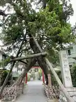 荏柄天神社のその他建物