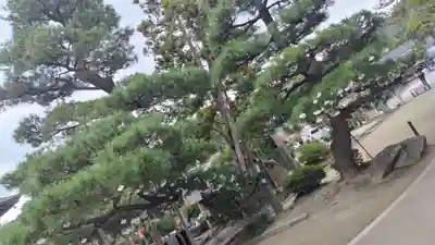 智恩寺(京都府)