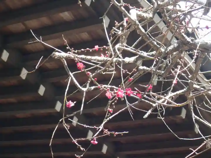 安國論寺(安国論寺)(神奈川県)