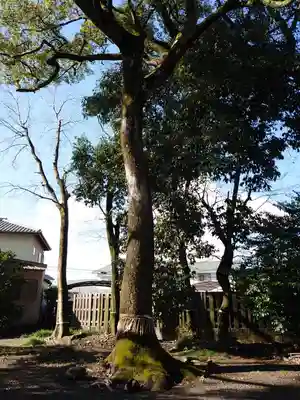 原木神社の自然