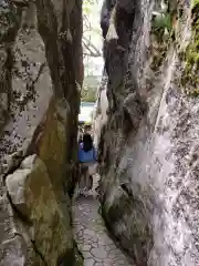 阿賀神社の自然