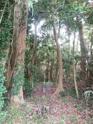 祠（名称不明）の周辺