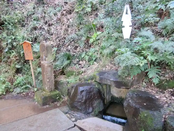 鹿島神宮の自然