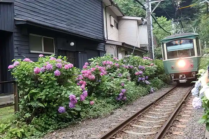 御霊神社の周辺