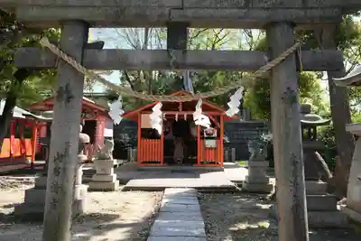 難波大社 生國魂神社の本殿・本堂