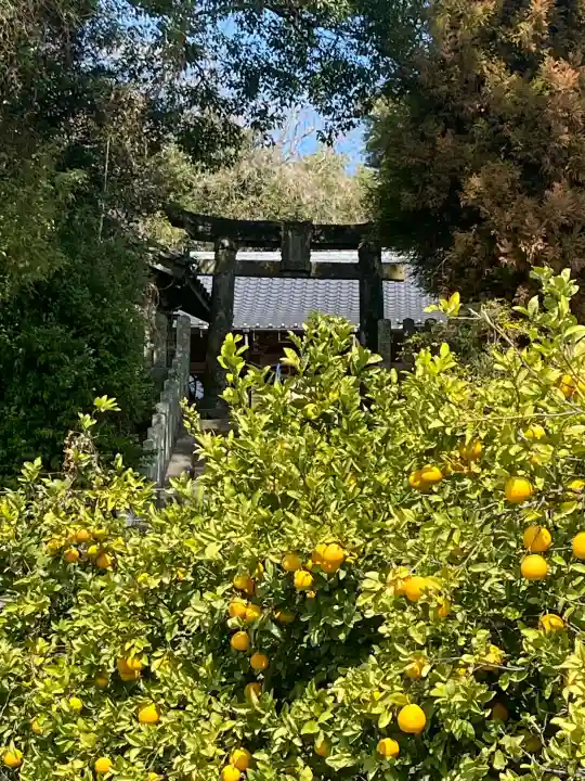 河内阿蘇神社の{uncategorized: "未分類", other: "その他", undefined: "問題あり", building: "その他建物", grave: "お墓", sacred_gate: "鳥居", guardian: "狛犬", statue: "像", buddha: "仏像", history: "歴史", nature: "自然", garden: "庭園", animal: "動物", pagoda: "塔", temizu: "手水舎", mountain_gate: "山門・神門", sanctuary: "本殿・本堂", subordinate: "末社・摂社", art: "芸術", scenery: "景色", jizo: "地蔵", ema: "絵馬", goshuin: "御朱印", omikuji: "おみくじ", items: "授与品その他", amulet: "お守り", goshuincho: "御朱印帳", eats: "食事", festival: "お祭り", votive_dance: "神楽", shichigosan: "七五三参", wedding: "結婚式", experience: "体験その他", initially: "初詣", around: "周辺", anti_infection: "感染症対策"}
