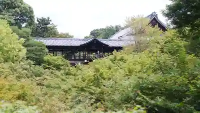 東福禅寺(東福寺)(京都府)