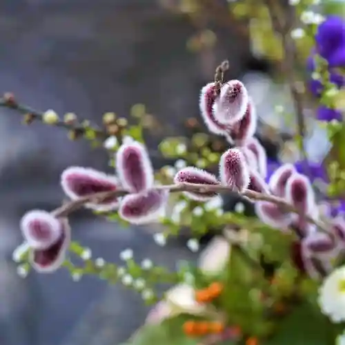 滑川神社 - 仕事と子どもの守り神の自然