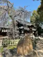 縣神社(京都府)
