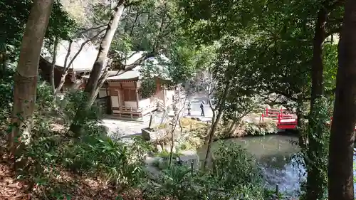 貫井神社の景色