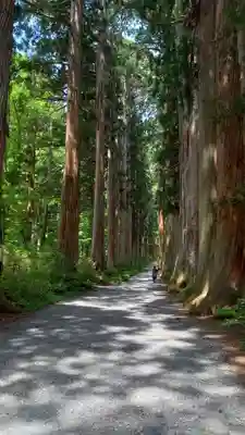 戸隠神社奥社(長野県)