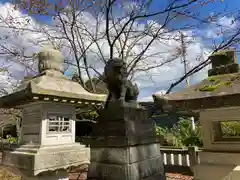 白山神社の狛犬