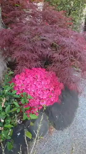 感通寺(東京都)