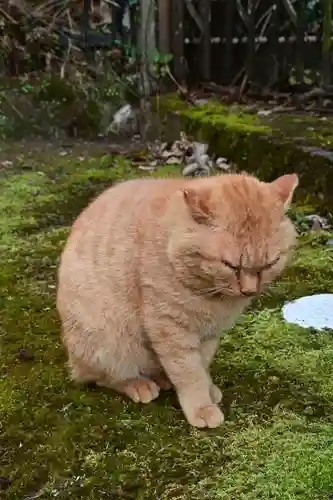 槵觸神社(宮崎県)