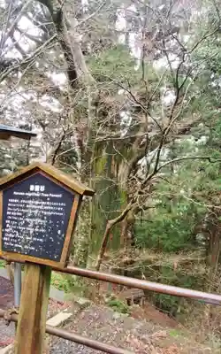 大光寺(静岡県)