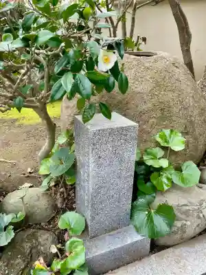 東漸寺の{uncategorized: "未分類", other: "その他", undefined: "問題あり", building: "その他建物", grave: "お墓", sacred_gate: "鳥居", guardian: "狛犬", statue: "像", buddha: "仏像", history: "歴史", nature: "自然", garden: "庭園", animal: "動物", pagoda: "塔", temizu: "手水舎", mountain_gate: "山門・神門", sanctuary: "本殿・本堂", subordinate: "末社・摂社", art: "芸術", scenery: "景色", jizo: "地蔵", ema: "絵馬", goshuin: "御朱印", omikuji: "おみくじ", items: "授与品その他", amulet: "お守り", goshuincho: "御朱印帳", eats: "食事", festival: "お祭り", votive_dance: "神楽", shichigosan: "七五三参", wedding: "結婚式", experience: "体験その他", initially: "初詣", around: "周辺", anti_infection: "感染症対策"}