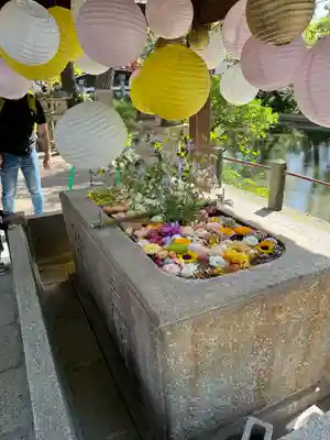 住吉大社(大阪府)